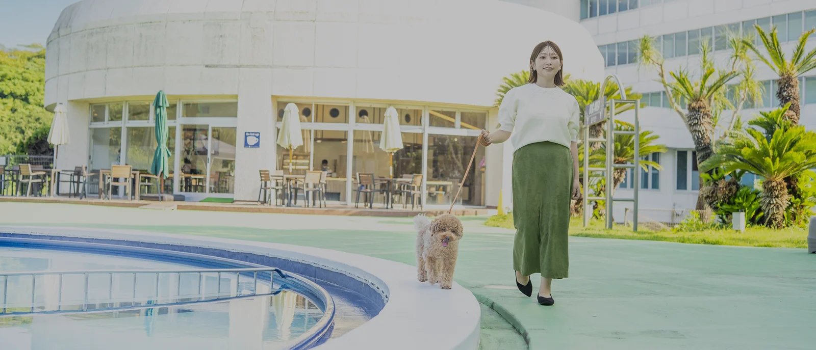 愛⽝と旅するビーチリゾート