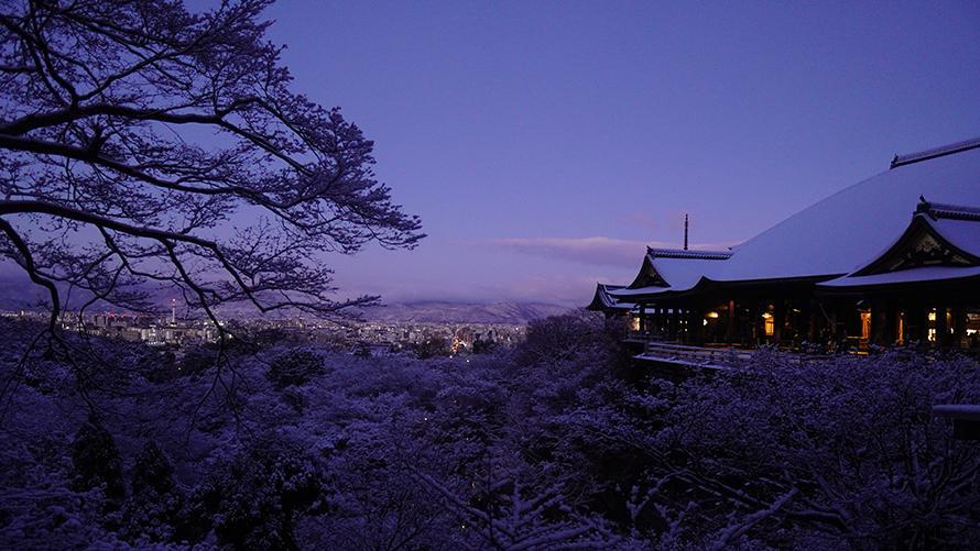 雪が積もる夜明け前の清水寺