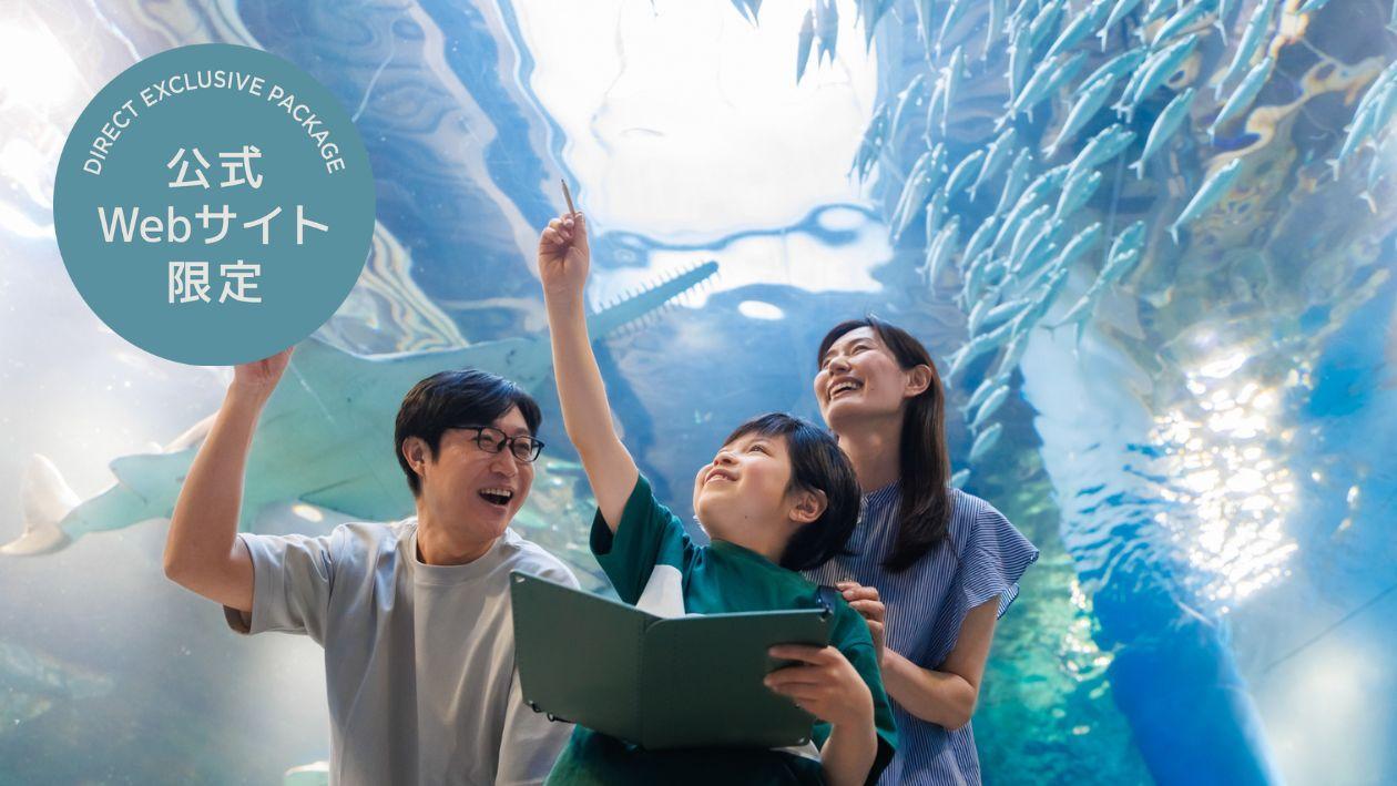 水族館で課題学習！イルカにスペシャルゼリーをあげよう