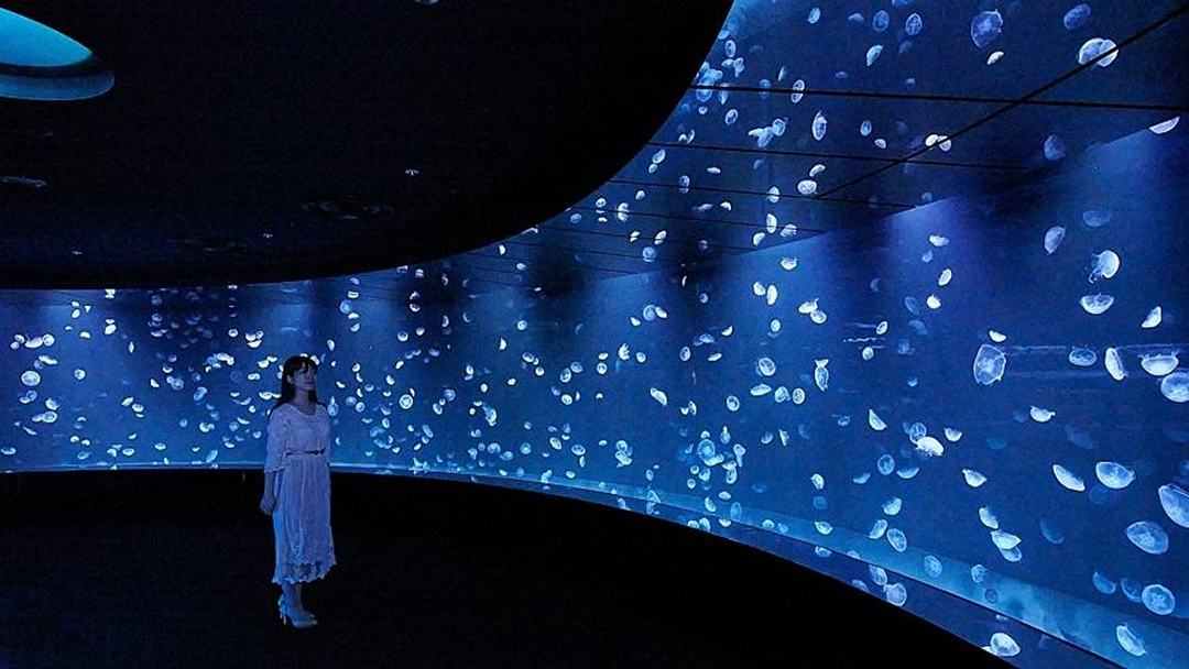 “サンシャイン水族館”チケット付きステイプラン