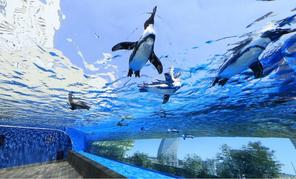 サンシャイン水族館