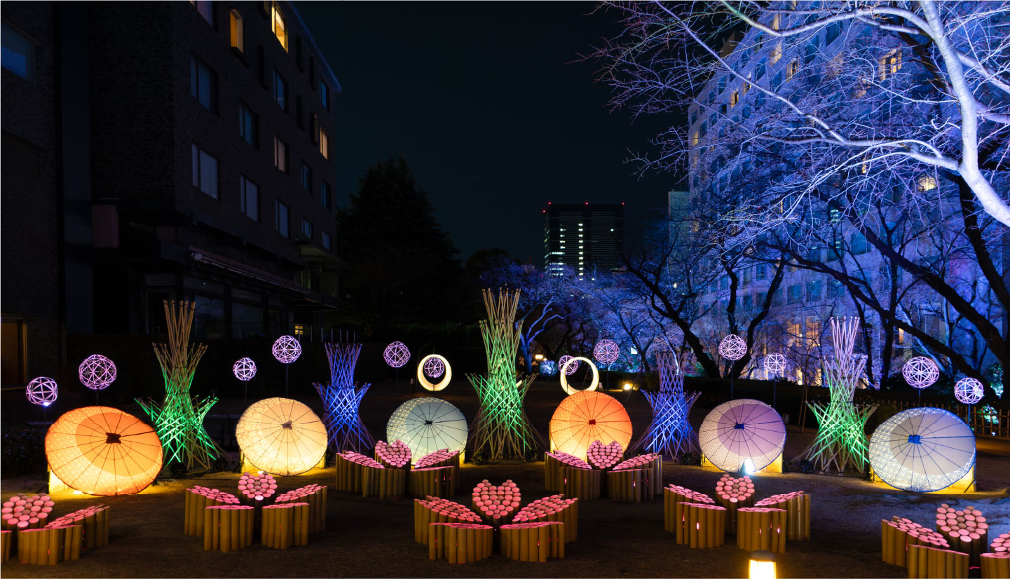Cherry Blossom × Bamboo Lantern Light-Up