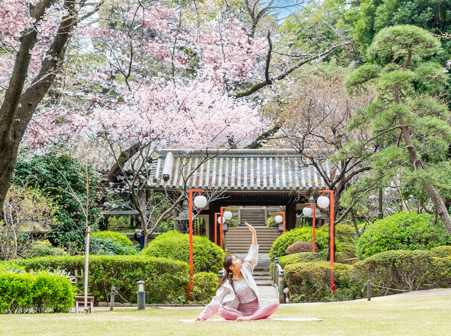 SAKURA morning YOGA