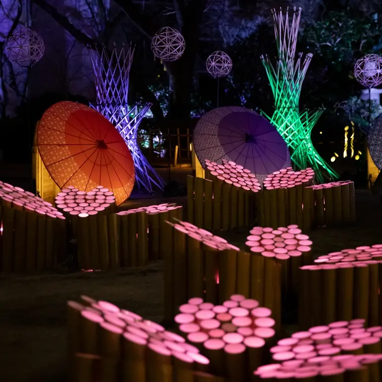 Takanawa  Sakura Matsuri Limited Bamboo Lantern Illumination