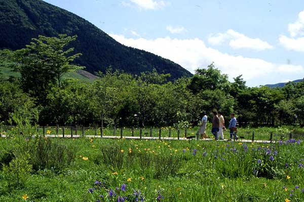 箱根湿生花園
